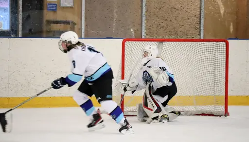 Träningsmatch mot Sollentuna 11 april, vinst 9-1