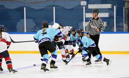 Hemmamatch i Vikingahallen
