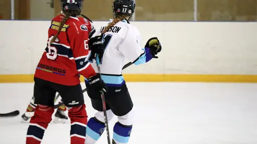 Träningsmatch mot Sollentuna 11 april, vinst 9-1