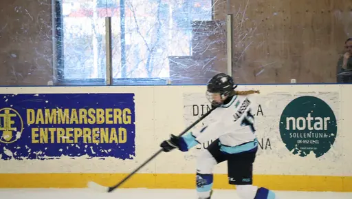 Träningsmatch mot Sollentuna 11 april, vinst 9-1