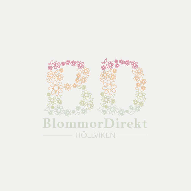 BlommorDirekt