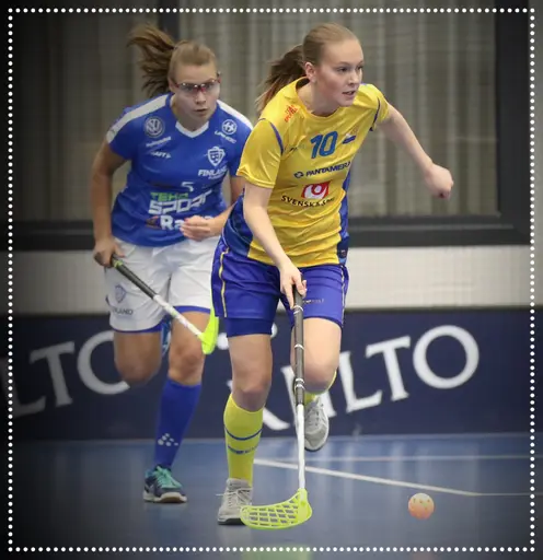 Vilde Rundfloen