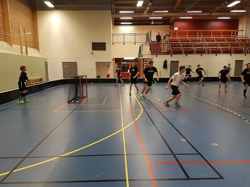 Mycket teknik idag då vi delade in laget i 2 grupper där vi jobbade med växlingar och vickningar och sen på andra halvan jobbade vi med fokus på direkt skott och sedan bytte vi efter 15 min