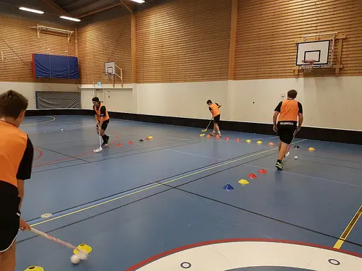 Mycket teknik idag då vi delade in laget i 2 grupper där vi jobbade med växlingar och vickningar och sen på andra halvan jobbade vi med fokus på direkt skott och sedan bytte vi efter 15 min