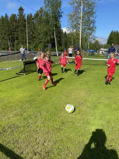 Full fart på myran! 