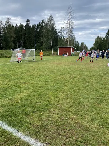 Våra tjejer på myran! 