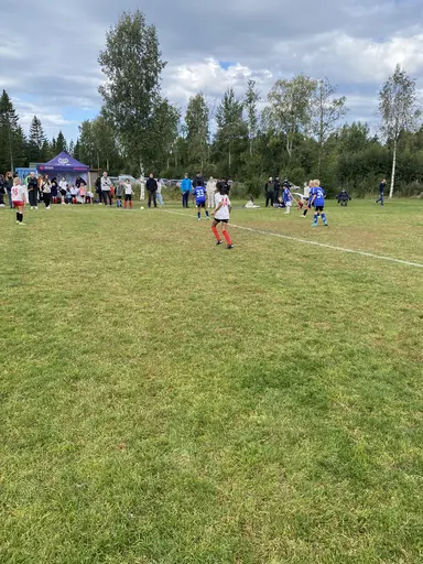 Våra tjejer på myran! 