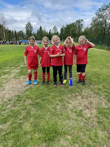 Full fart på myran! 