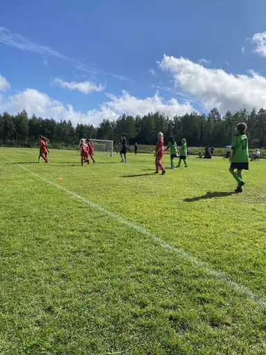 Våra tjejer på myran! 