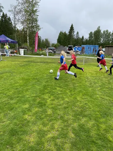 Full fart på myran! 