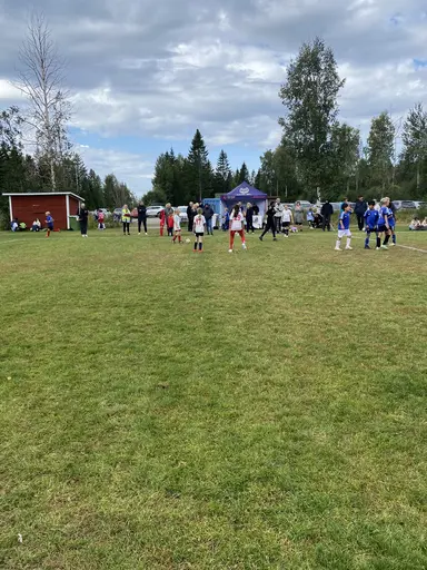 Våra tjejer på myran! 
