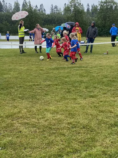 Full fart på myran! 