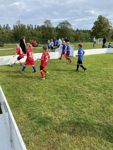 Full fart på myran! 