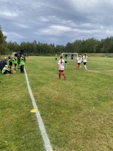 Våra tjejer på myran! 