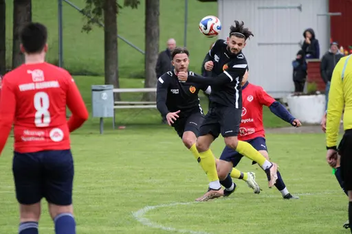 Foto: Linus Nielsen