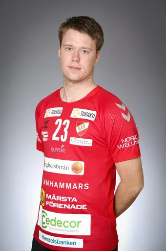 Mattias Friström, Marcus Nilsson, Iris Ganibegovic, Max Werner