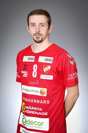 Mattias Friström, Marcus Nilsson, Iris Ganibegovic, Max Werner
