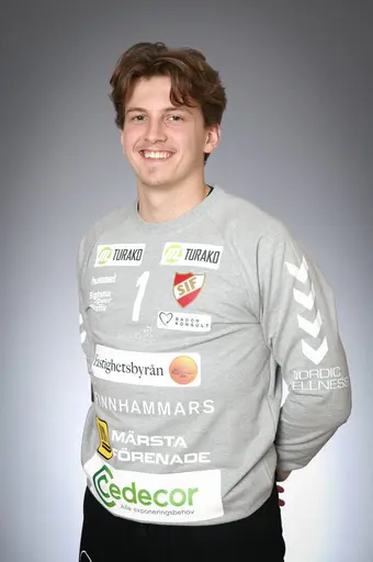 Mattias Friström, Marcus Nilsson, Iris Ganibegovic, Max Werner