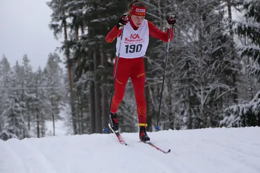 Svegsåkarna gjorde bra ifrån sig under tävlingarna i Älvdalen