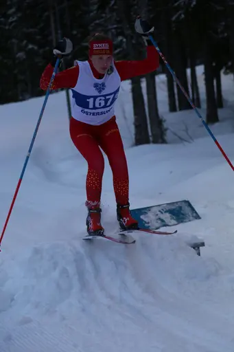 Svegarna kämpade på bra