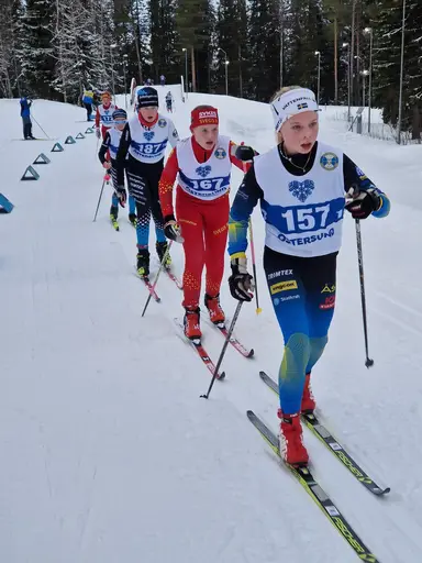 Svegarna kämpade på bra