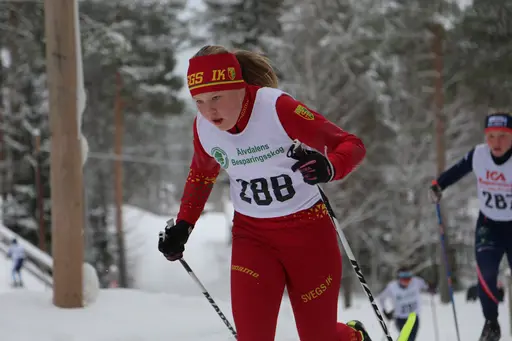 Svegsåkarna gjorde bra ifrån sig under tävlingarna i Älvdalen
