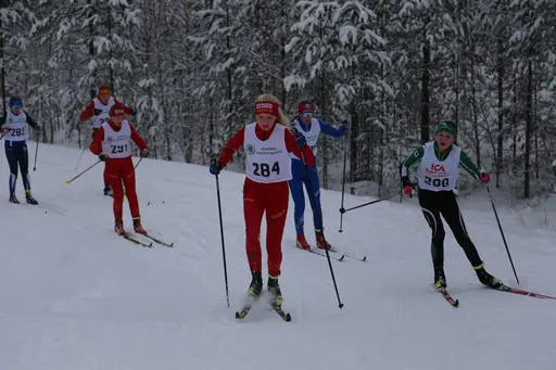 Svegsåkarna gjorde bra ifrån sig under tävlingarna i Älvdalen