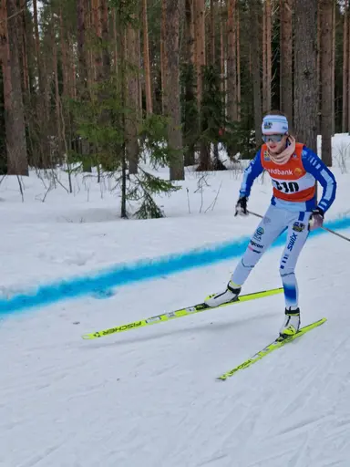Svegarna gjorde bra ifrån sig.