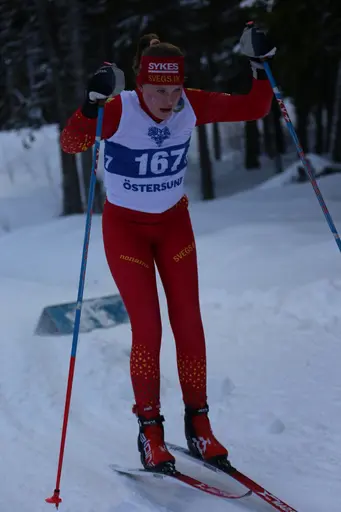 Svegarna kämpade på bra