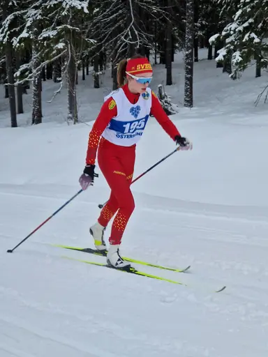 Svegarna kämpade på bra