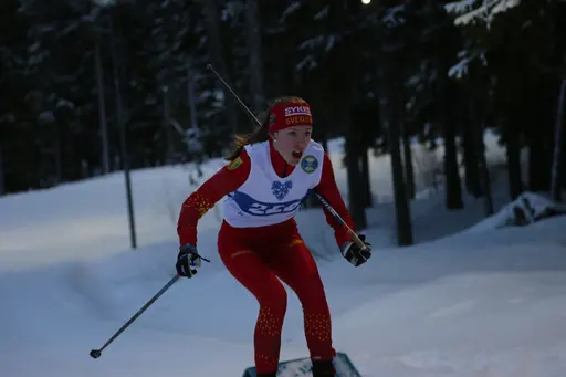 Svegarna kämpade på bra