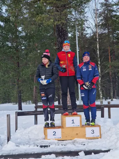 Svegarna kämpade på bra
