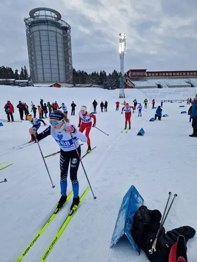 Svegarna kämpade på bra
