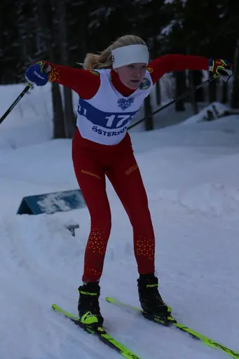 Svegarna kämpade på bra