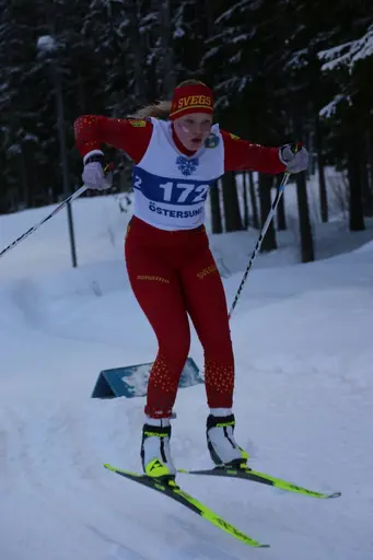 Svegarna kämpade på bra