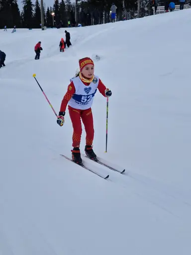 Svegarna kämpade på bra