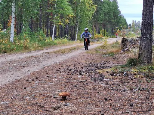 Härligt kämpat av alla