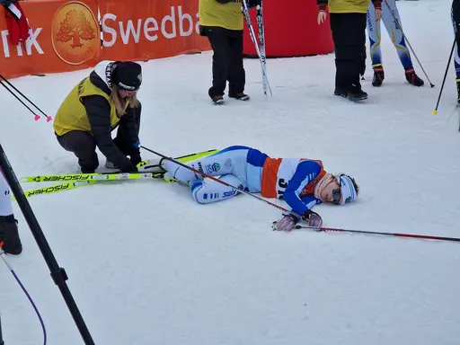 Svegarna gjorde bra ifrån sig.