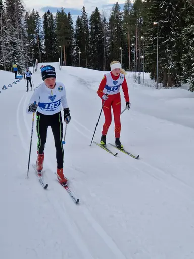Svegarna kämpade på bra