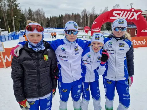 Svegarna gjorde bra ifrån sig.