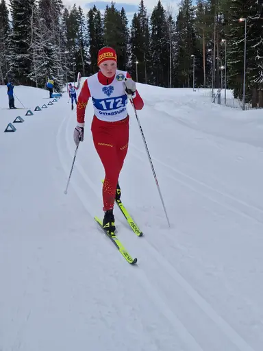 Svegarna kämpade på bra