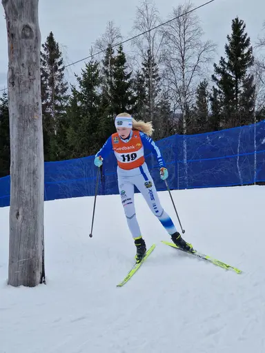 Svegarna gjorde bra ifrån sig.