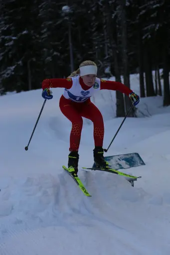 Svegarna kämpade på bra