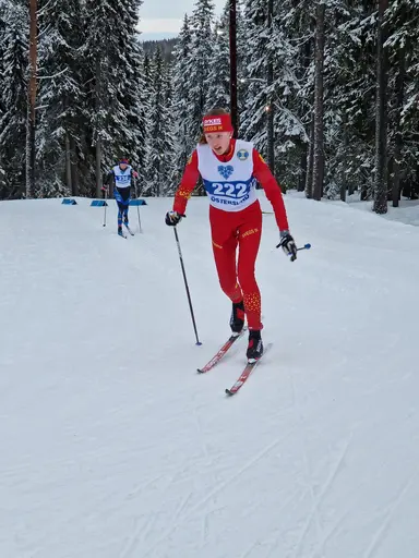 Svegarna kämpade på bra