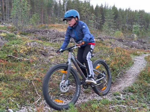 Härligt kämpat av alla