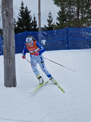 Svegarna gjorde bra ifrån sig.