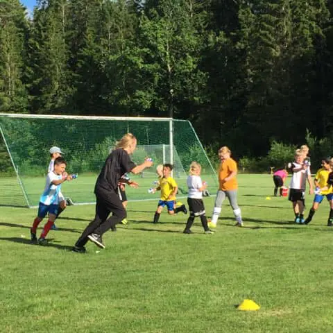 Idag hade P9, PF8 och PF7 sommaravslutning. Fotbollsbrännboll, vattenkrig och pizzakalas stod på schemat. En riktigt rolig kväll med ett stort gäng glada härliga ungar. Tack för denna vår och sommar, 