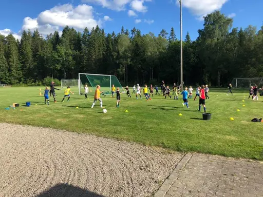Idag hade P9, PF8 och PF7 sommaravslutning. Fotbollsbrännboll, vattenkrig och pizzakalas stod på schemat. En riktigt rolig kväll med ett stort gäng glada härliga ungar. Tack för denna vår och sommar, 