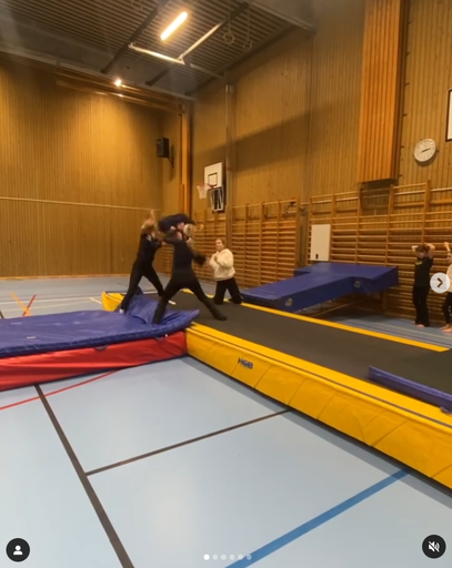 trimgymnastikenfbg