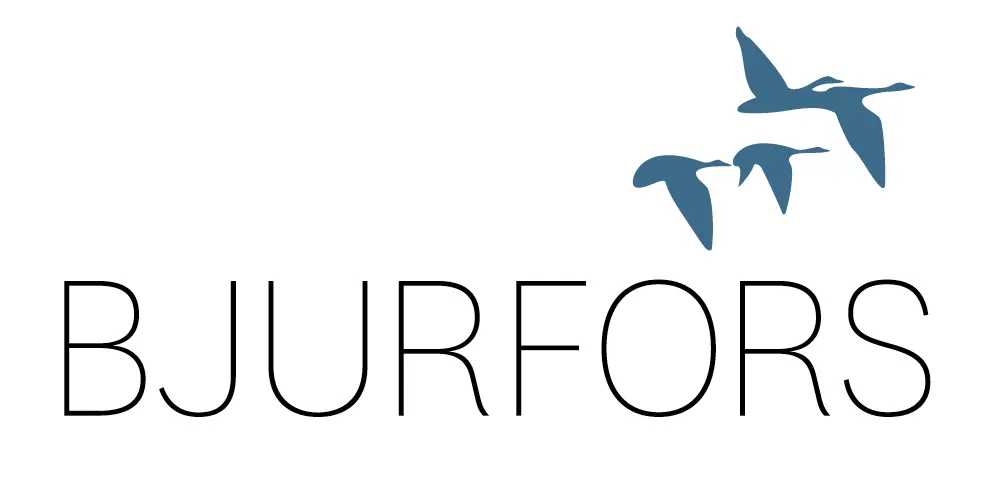 Bjurfors